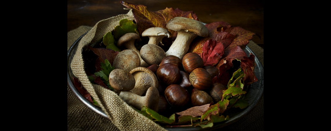 Mushrooms and chestnuts in Val d’Intelvi